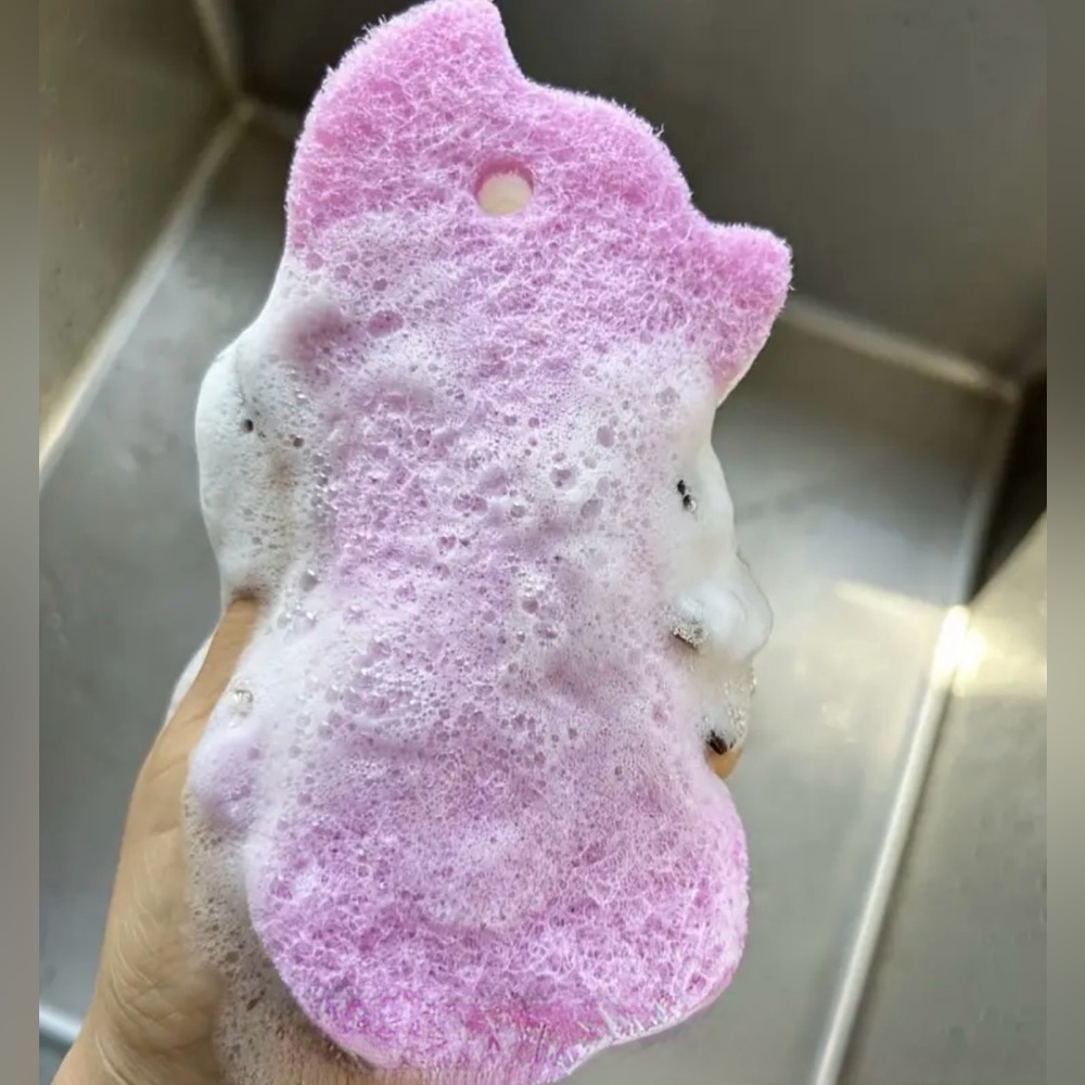 Pig-Shaped Sponges - Picture 9 of 9